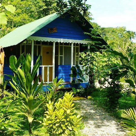 Hotel Casitas Mar Y Luz Puerto Viejo de Talamanca Exteriör bild