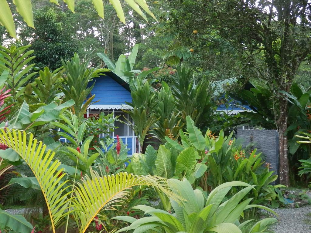 Hotel Casitas Mar Y Luz Puerto Viejo de Talamanca Exteriör bild