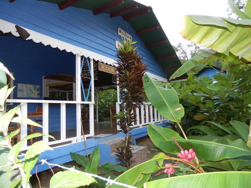 Hotel Casitas Mar Y Luz Puerto Viejo de Talamanca Exteriör bild