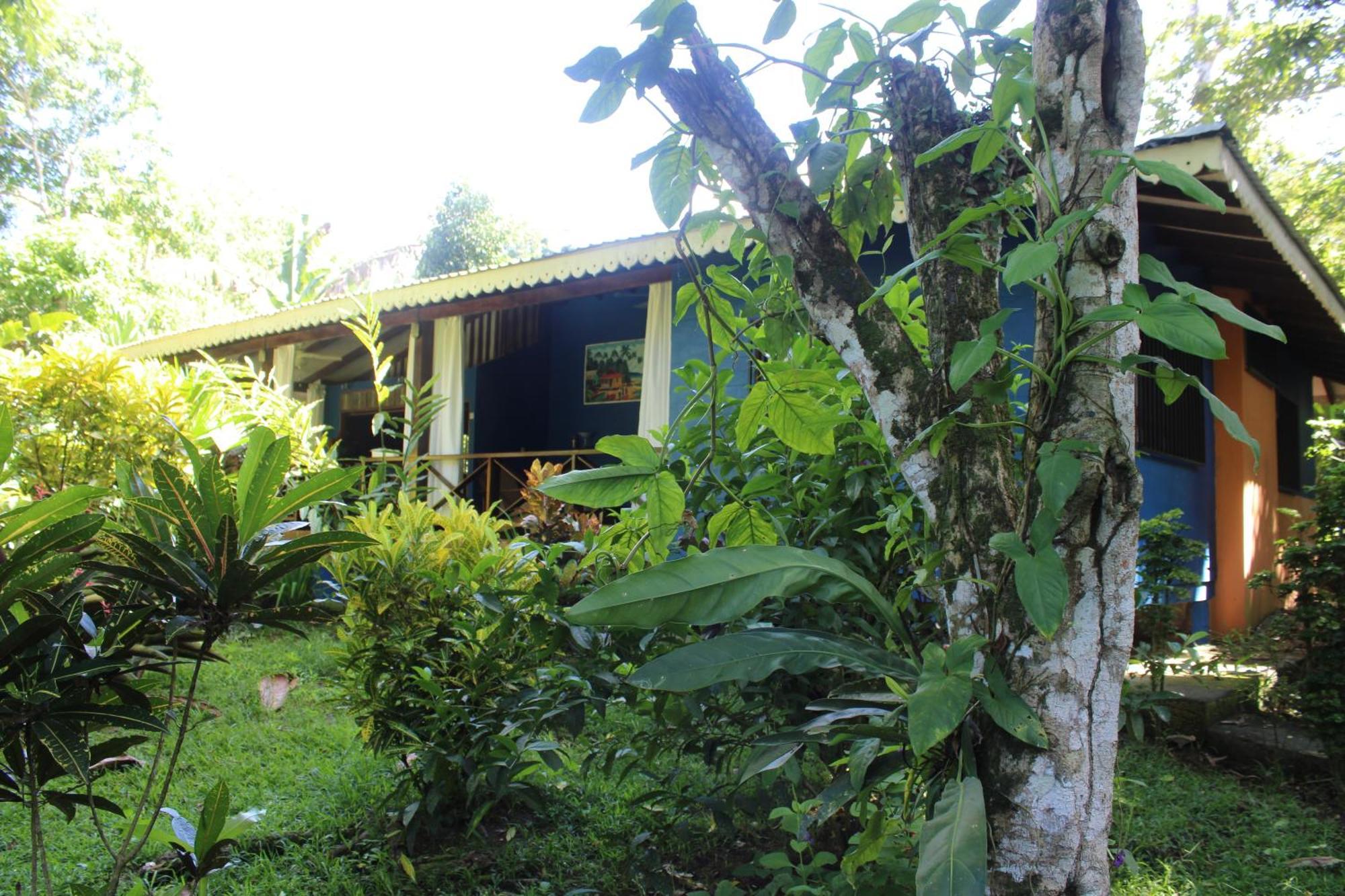 Hotel Casitas Mar Y Luz Puerto Viejo de Talamanca Exteriör bild